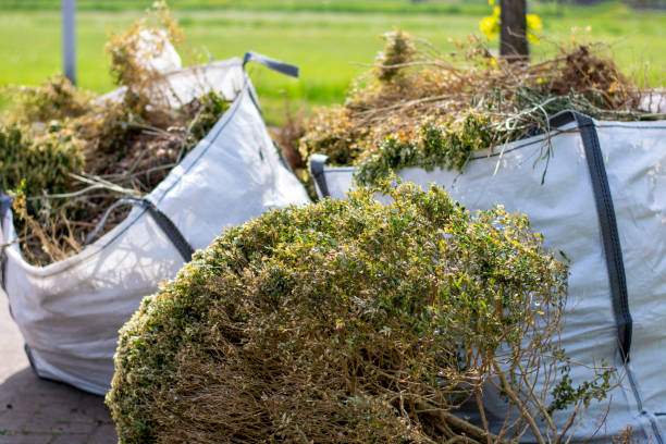 Best Attic Cleanout Services  in Bellows Falls, VT